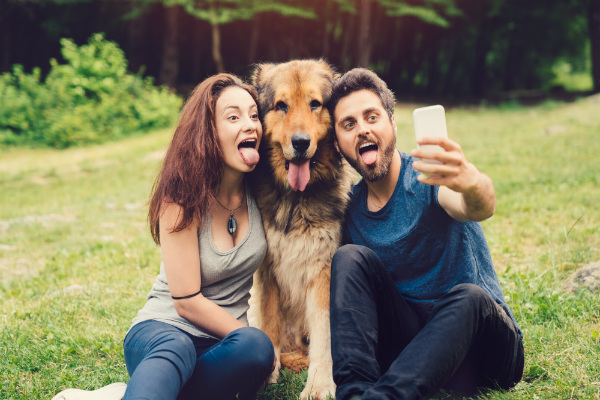 Dicas para tirar boas fotos do seu pet