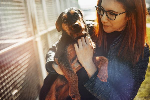 O Dezembro Verde e a conscientização ao não abandono de animais