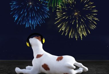 Cinco produtos que prometem acalmar seu pet na hora da queima dos fogos