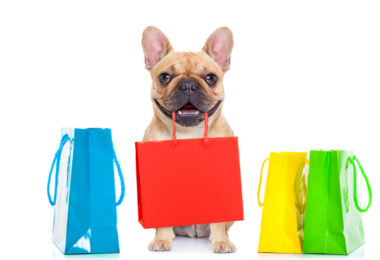 Os produtos preferidos dos cachorros em 2019