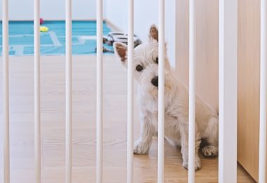 Portão para cachorros