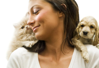 Dicas de presentes para pais de pets