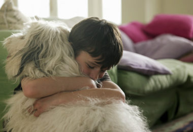 Conheça seis raças de cachorro amigas das crianças