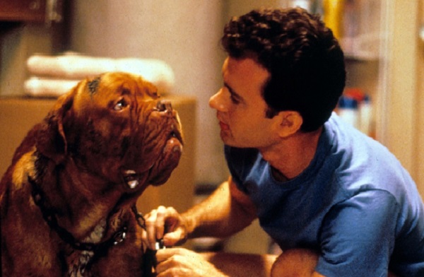 Características do Dogue de Bordeaux