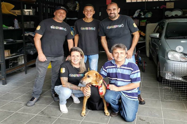 Petlove e Unit Pets ajudam na doação de Marvin, cachorro especial da ONG Cão Sem Dono