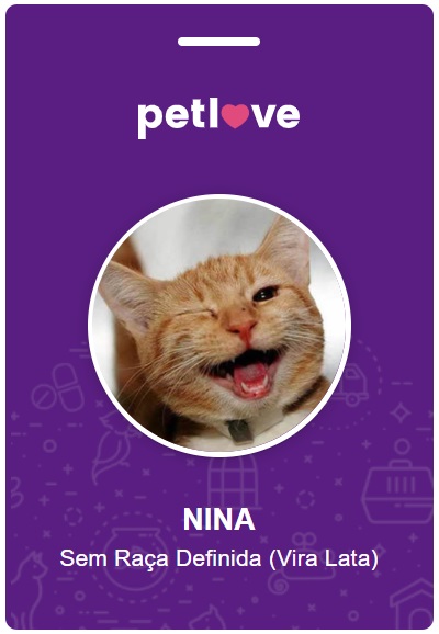 Nome de gatos famosos - Petlove