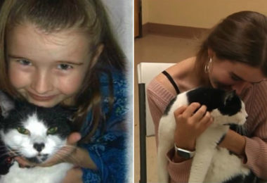 Depois de três anos, mulher reencontra seu gato perdido de forma inusitada