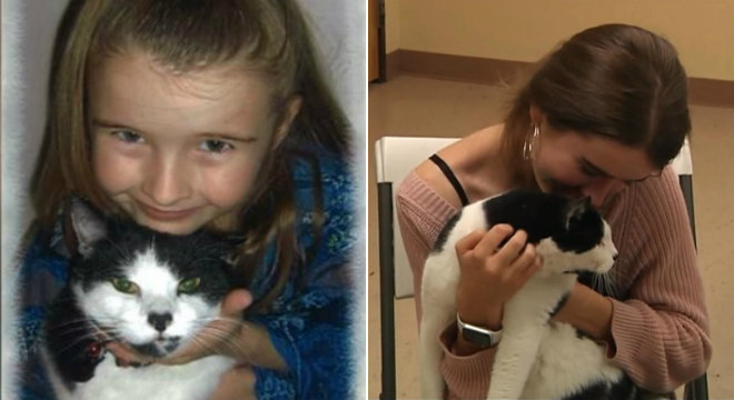 Depois de três anos, mulher reencontra seu gato perdido de forma inusitada