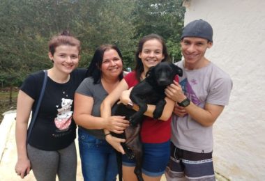 Petlove participa do dia de visita à ONG Cão Sem Dono