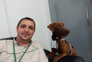 Cachorro vira mascote de posto de gasolina e tem até crachá