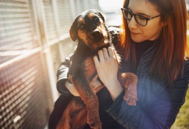 Sete produtos essenciais para quem vai adotar um cão de porte médio