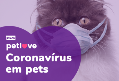 Petlove responde perguntas sobre coronavírus e quarentena em pets