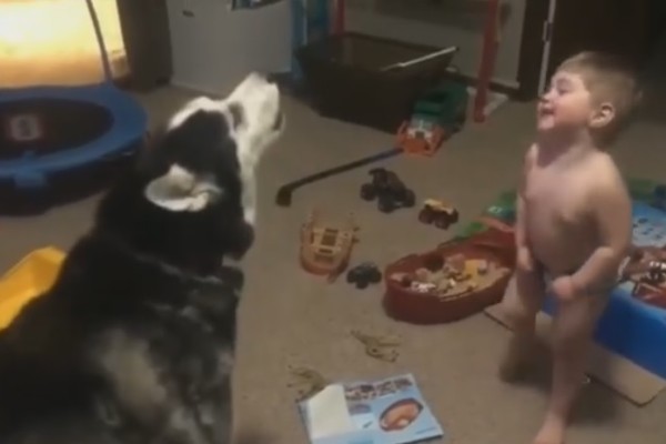Cachorro e bebê disputam quem uiva mais alto e vídeo viraliza