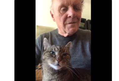 Durante quarentena, Anthony Hopkins toca piano para seu gato