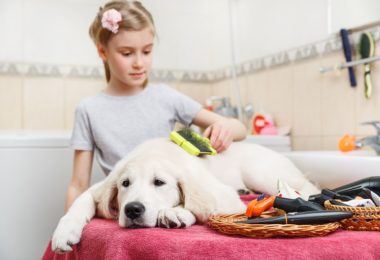 Cinco produtos para dar um banho a seco no seu cachorro