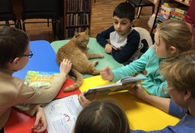 Gato é contratado por biblioteca na Rússia