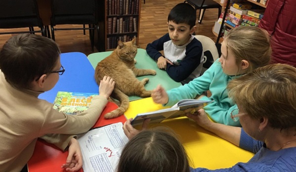 Gato é contratado por biblioteca na Rússia