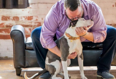 Grupo de passeio com cães visa saúde mental dos pais humanos
