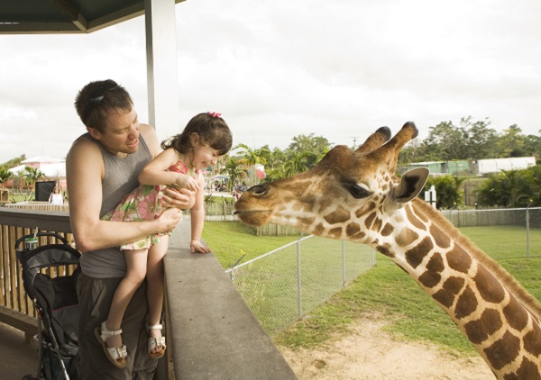 Entenda a importância dos zoológicos