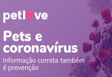 Pets e coronavírus informação correta também é prevenção