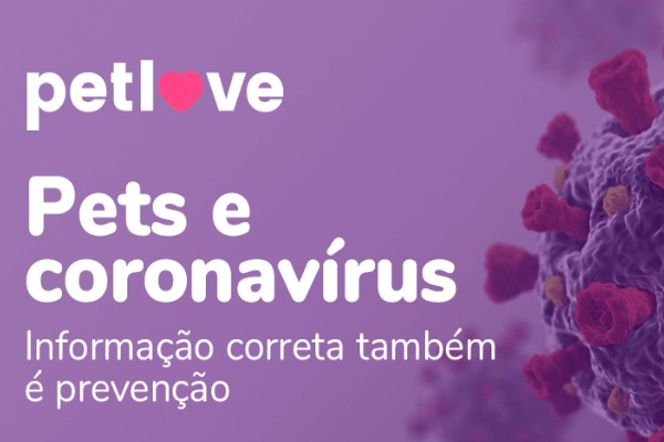 Pets e coronavírus informação correta também é prevenção
