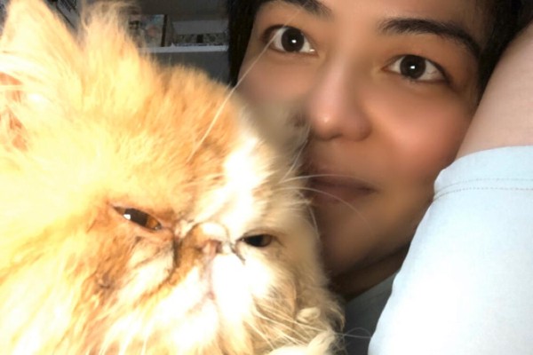 Veterinário em casa: Veja como foi o atendimento ao Chico, gato Persa que teve um mal súbito