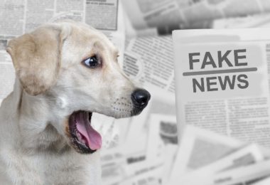Primeiro de abril: Cinco mentiras sobre cachorros