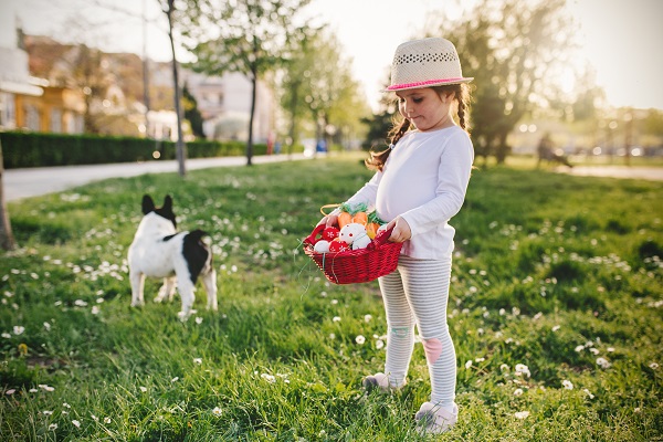 Aprenda a planejar uma caça aos ovos de Páscoa para o seu cão