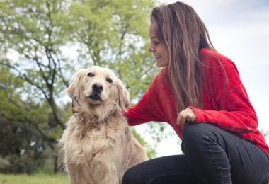 Abrigo consegue adoção para todos os pets em período de quarentena