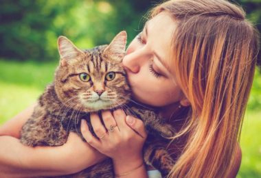 Pense bem antes de adotar um pet na quarentena
