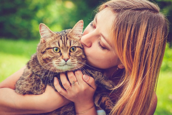 Pensando em adotar um pet? Estes gatinhos estão a procura de um