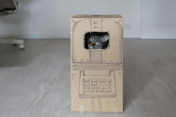 Como criar brinquedos para gatos com material reciclado