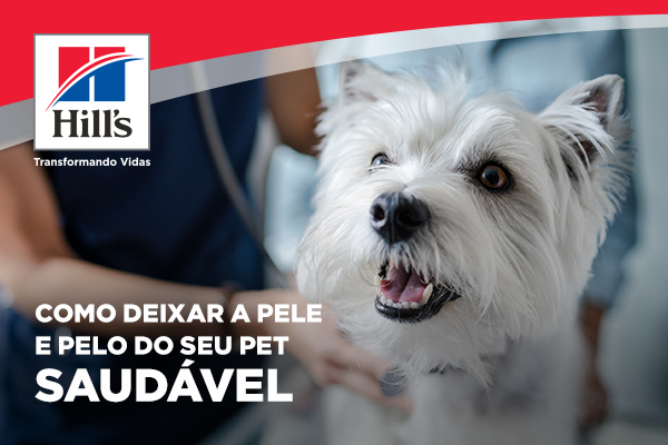 Como deixar a pele e pelo do seu pet saudável
