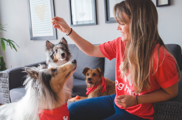 Como manter a dieta para cães e gatos balanceada