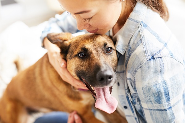 12 frases que toda mãe de pet detesta ouvir