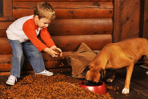 Cachorro comendo ração