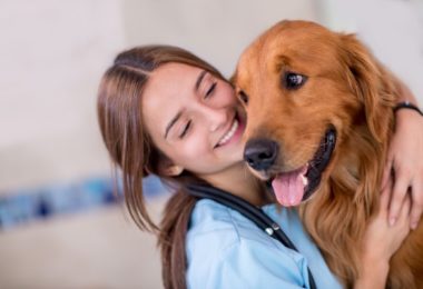 Entenda quais tipos de procedimentos veterinários podem ser feitos na sua casa