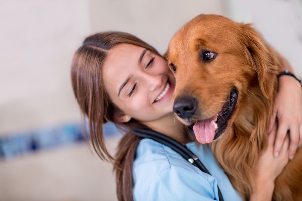 Entenda quais tipos de procedimentos veterinários podem ser feitos na sua casa