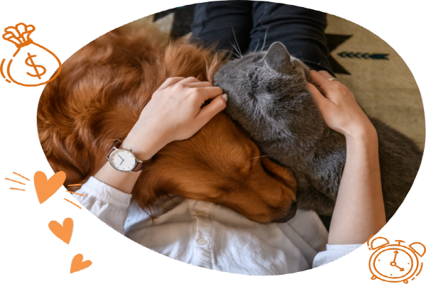 Me.Au Pet agora tem sílica para gatos!