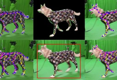 Tecnologia permite transformar seu pet em animação 3D