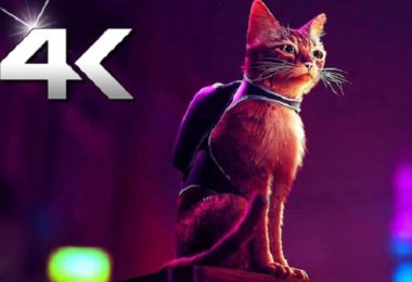 Gato é protagonista de novo jogo de videogame