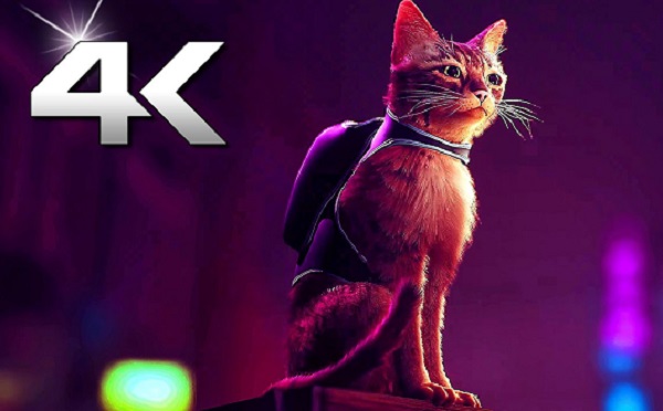 5 jogos com gatos para consoles e PC