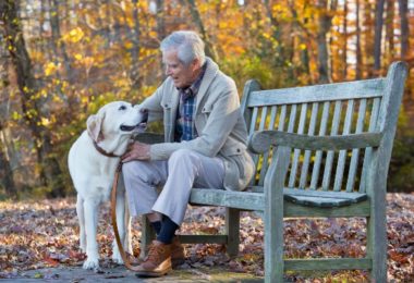 50 raças de cães que costumam viver mais de 10 anos