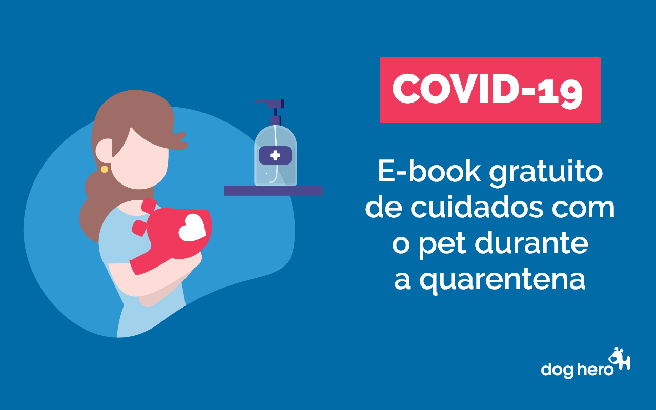 Cuidados com pets durante a quarentena