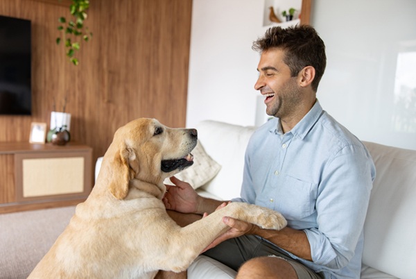 Pai de pet brincando com cachorro.