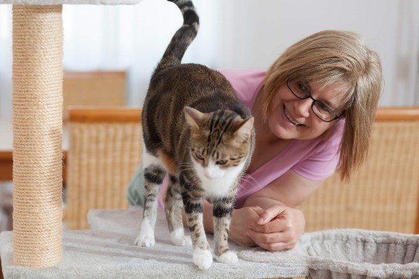 Como ter sucesso para EDUCAR e ensinar gatos de forma eficiente? 