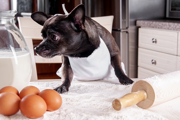 Como fazer um bolo saudável e delicioso para cães e gatos?