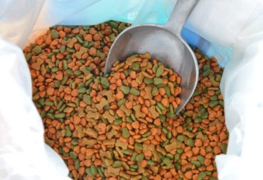 Como manter a ração do seu pet sempre fresca