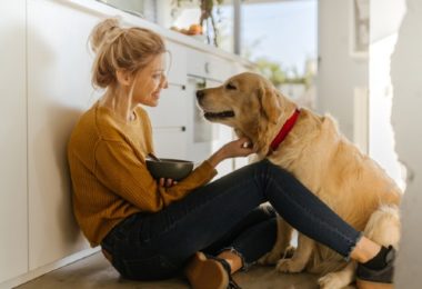 Quantas vezes por dia um cachorro deve comer?