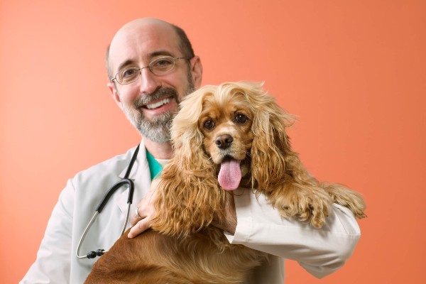 Tudo sobre a primeira visita do seu cachorro ao médico veterinário